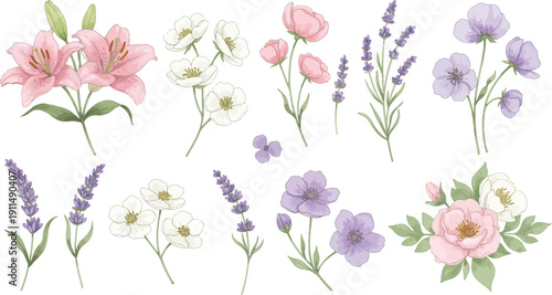 Watercolor floral illustrations of various flowers and plants in pastel colors