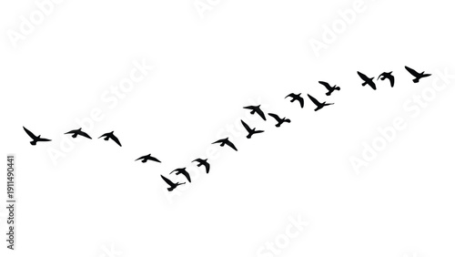 A flock of birds flying in a diagonal formation against a white background Vector