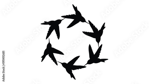 A group of birds in a circular formation against a white background Vector