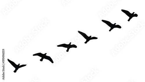A flock of birds flying in a diagonal formation against a white background Vector