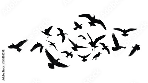 A flock of birds flying together in a dynamic and abstract silhouette Vector