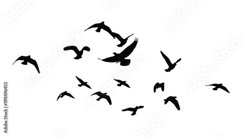 A flock of birds flying in a clear sky with one bird in mid-flight Vector