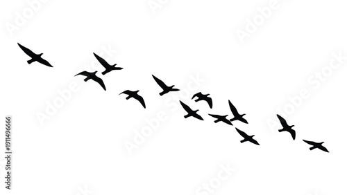 A flock of birds flying in a diagonal formation across a white background. Vector