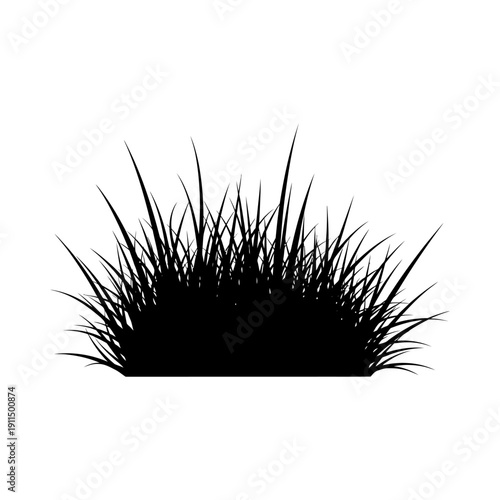 A silhouetted clump of grass blades against a stark white background
