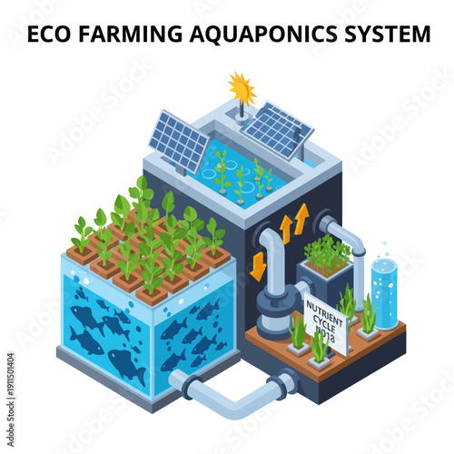 Aquaponics System with Plants and Fish.