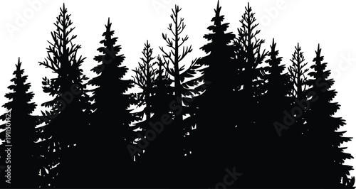 Black forest silhouette of dense pine and spruce trees, natural woodland landscape border, evergreen conifer treeline design, isolated on white background for nature and outdoor themes.