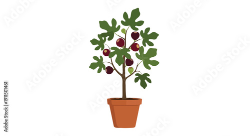 Falling Cocoa Beans and Nibs Isolated on White Background