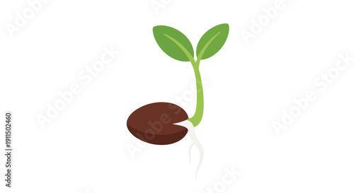 Vibrant green seedling emerging from a humble seed, showcasing the miraculous journey of new life and natural growth on a pure white background a