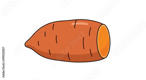Vibrant orange sweet potato root vegetable illustration on a clean white background capturing natural produce essence.