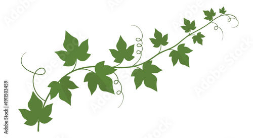 Stylized green vine illustration with distinct lobed leaves and intricate curling tendrils, ideal for natural design elements and decorative accents
