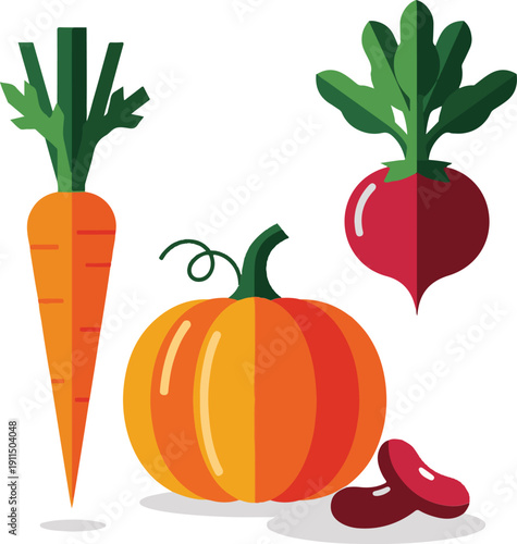 Vector art of colorful illustration of carrot, pumpkin, beetroot and radish