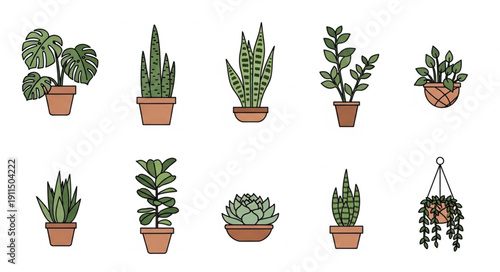 Collection of Potted Houseplants in Various Styles.