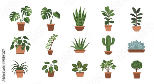 Wallpaper Mural Collection of Various Potted Houseplants and Cacti. Torontodigital.ca