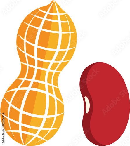 Vector art of peanut and kidney bean icons for food and nutrition related purposes