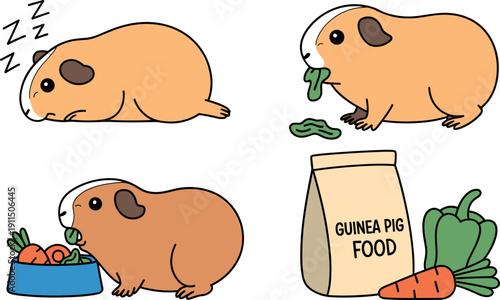 Cute guinea pig cartoon character set showing sleeping eating and pet food bag isolated on white background for domestic animal care and veterinary design.