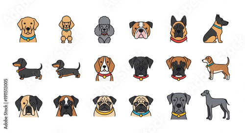 Collection of diverse dog breeds illustrated in a clean graphic style.