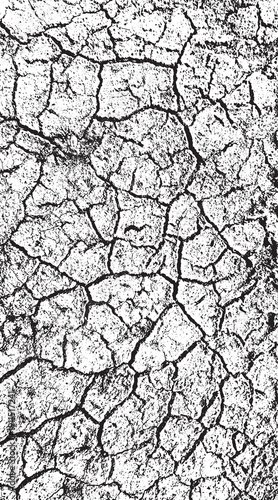 13-29. Texture vector image of paddy fields dried up by long drought - illustration.