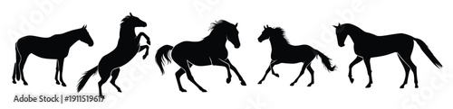set of horses silhouette isolated on a white background