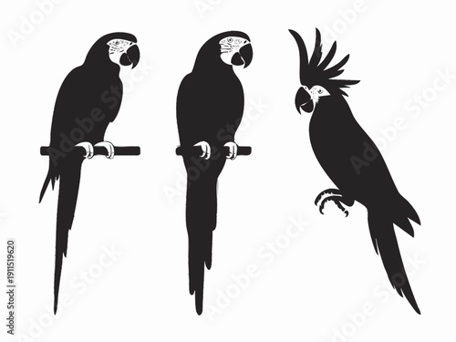 designs: 1) parrot perched on stand; 2) side view parrot with long tail; 3) flying parrot; 4) cockatoo with crest