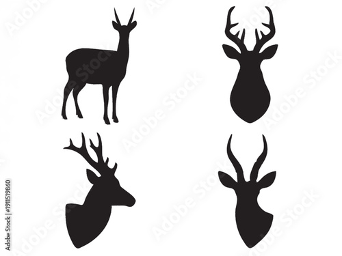 Takin full, Musk deer head, Nilgai full, Blackbuck head