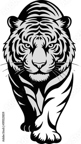 Fierce Prowling Tiger Vector