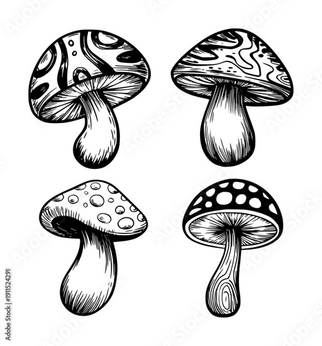Hand drawn black and white mushroom with varied patterns and textures fungi