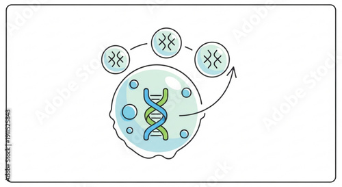 Dna replication process with cells and genetic material illustrating biology and genetics concepts