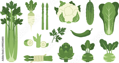 Green vegetable collection isolated. Fresh organic food set. Flat botanical illustration of celery, asparagus, cauliflower, cucumber, spinach and leafy vegetables.