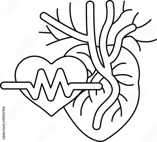 A heart and a vein are shown in a black and white drawing