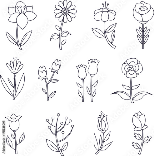 vector set of flowers