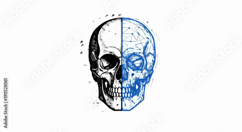 Fascinating split skull illustration blending organic and digital elements
