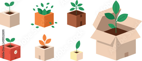 Plant in box collection isolated. Eco packaging and seedling growth set. Flat illustration of small plants in cardboard containers and delivery boxes.