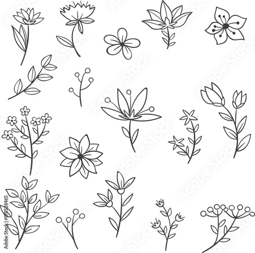 seamless pattern with flowers