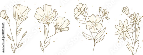 Hand drawn Flower collection