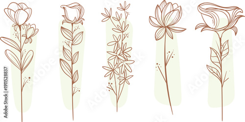 wheat ears isolated on white background