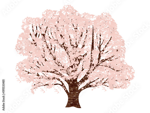 満開に咲いた桜の木