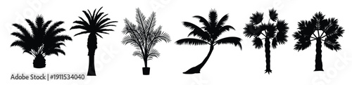 silhouette palmetto vector