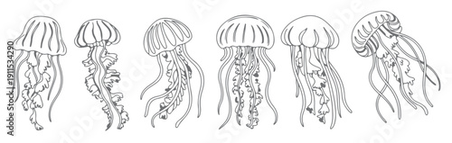 six gray silhouette jellyfish illustrations aquatic ocean
