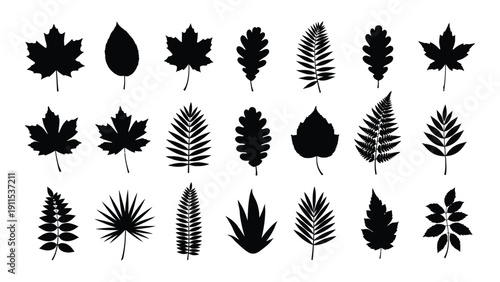 A collection of various types of leaves in black and white Vector