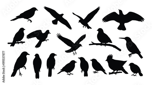A diverse collection of black silhouettes of various birds in flight and perched Vector