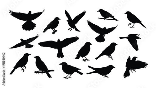 A diverse collection of black silhouettes of various bird species in flight and at rest Vector