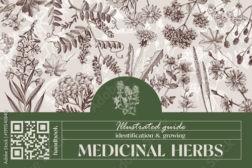 Medicinal plants and herbs banner