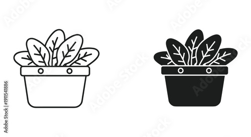 Two cartoon potted plants growing leaves in white and black pots isolated on white background