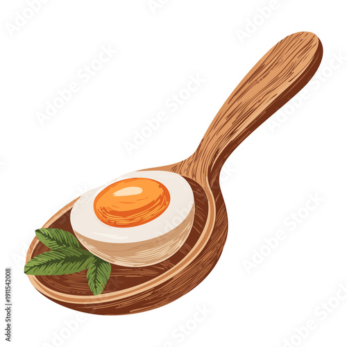 Half cut boiled egg on wooden spoon for healthy protein snack and breakfast garnish - Vector Illustration