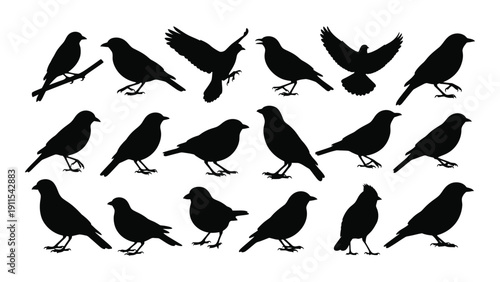A diverse group of black birds in various poses and formations Vector