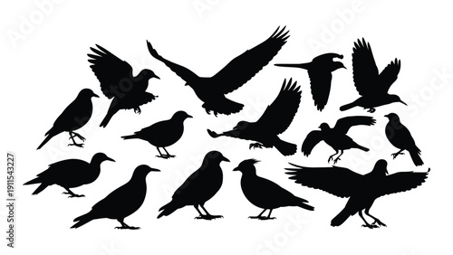 A diverse group of black birds in various poses and flight patterns. Vector