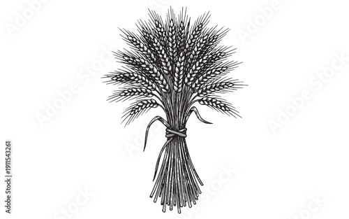 Vintage engraving illustration of a tied sheaf of wheat