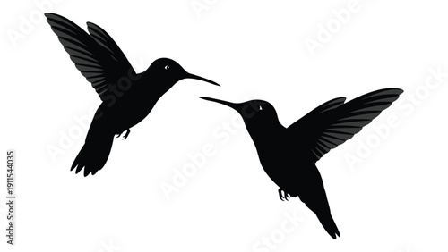Two black hummingbirds flying and interacting with each other in mid-air Vector