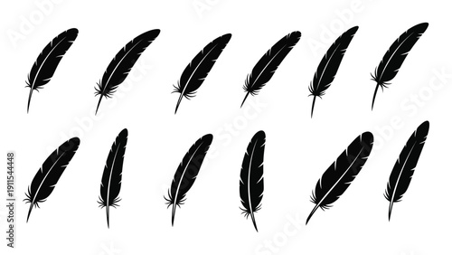 A collection of twelve black feathers arranged in two parallel rows. Vector