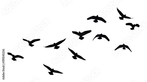 A flock of birds flying in a v-shaped formation against a white background Vector